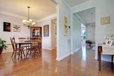 IMG_9938_IMG_9951 copy