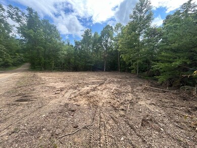 0 van Crabtree Road Lot unit Wp001, Lucasville, OH 45648 - photo 2
