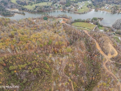 DJI_20241114153549_0126_D-HDR