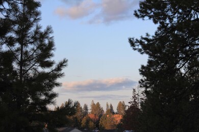 IMG-5115