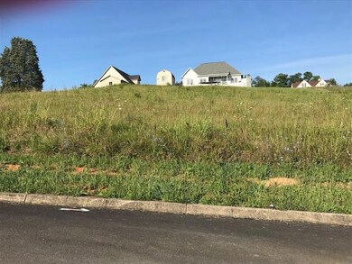 Lot 29