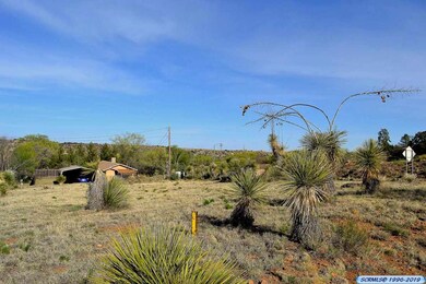 xx W Howell St, Silver City, NM 88061 - photo 2