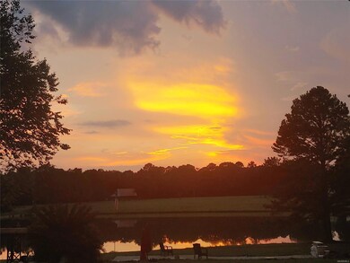 1604 Highway 82, Mathews, AL 36052 - photo 4