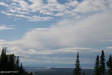 L7 B3 Sandpiper Dr, Anchorage, AK 99516 - photo 5