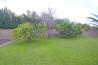 Prolific Fruit Trees!