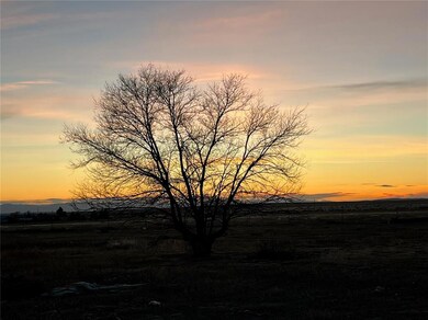 18475 Holman Rd, Colorado Springs, CO 80928 - photo 6