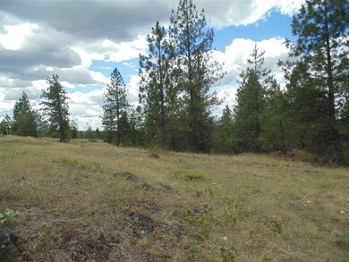 00 E Robin Lane Lot 4 Ln, Chattaroy, WA 99003 - photo 7