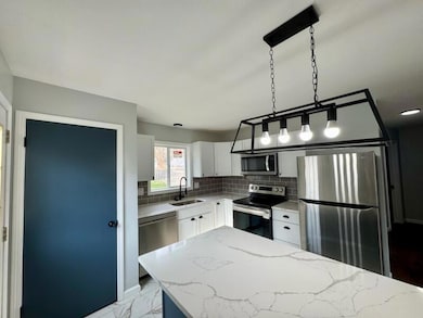 3820 Lowcroft Ave, Lansing, MI 48910 - photo 4