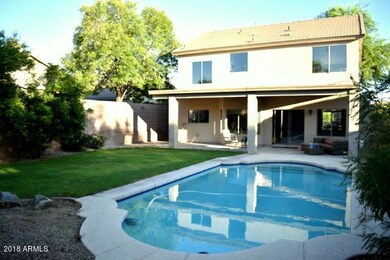Large grass backyard with lap pool