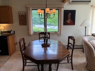 3 N Peak Village unit 3A, Newbury, NH 03255 - photo 4