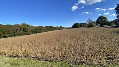 view across the parcel