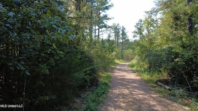 149 Lone Pine Rd, Canton, MS 39046 - photo 5