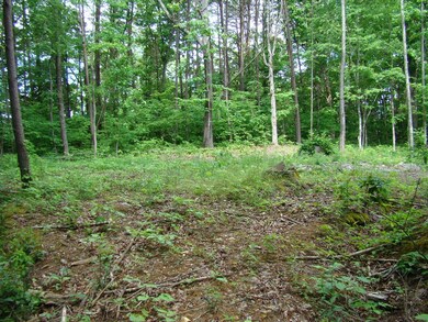 141 Jeremiah Rd, Cookeville, TN 38506 - photo 3