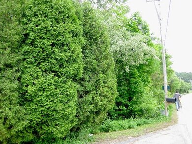 3 Braddock Way (Rt58), Carver, MA 02330 - photo 2