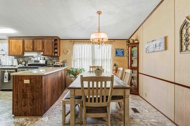 20 Cherry St, Lawrenceville, PA 16929 - photo 2