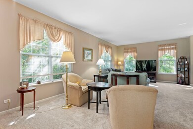 161 Patrick Ave unit 1803E, Willow Springs, IL 60480 - photo 7