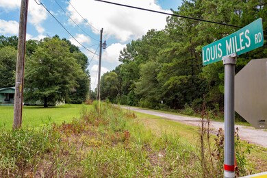 Louis Miles Road