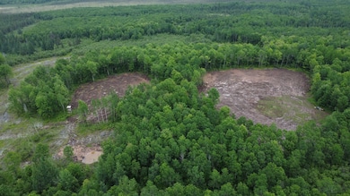 120 Acres Wisconsin 86, Tomahawk, WI 54487 - photo 4