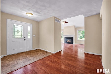 228 Briarwood Place, Dahinda, IL 61428 - photo 3