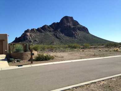 Cat Mountain Trail Head