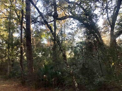 x Flag Lot Off Terrace Ln, Crawfordville, FL 32327 - photo 2