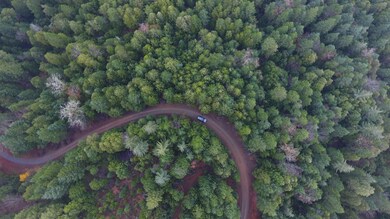 DJI_0191