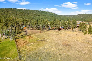 58 1120, Greer, AZ 85927 - photo 3