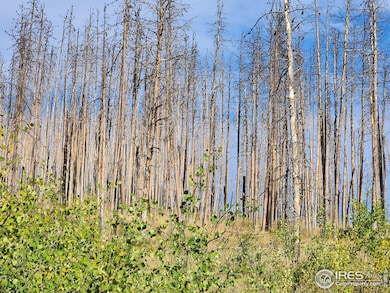 0 Crystal Mountain Rd unit 1047926, Bellvue, CO 80512 - photo 7