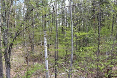 18 Ludlow Rd, Windham, NH 03087 - photo 6