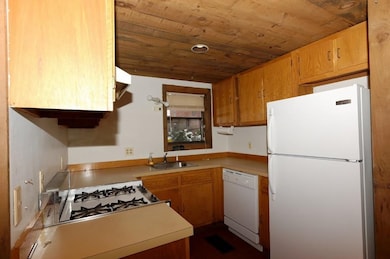 4 Lilac Ct unit 4, Cambridge, MA 02141 - photo 5