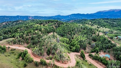 1693 Golden Cycle Cir, Cripple Creek, CO 80813 - photo 2