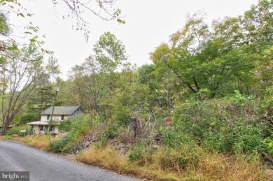 719 Gid Brown Hollow Rd, Washington, VA 22747 - photo 4