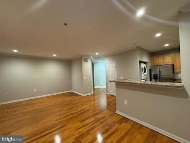 Marquis At Vienna Station unit 114, Vienna, VA 22181 - photo 6