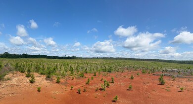 300 Hwy 378 W, Edgefield, SC 29824 - photo 2