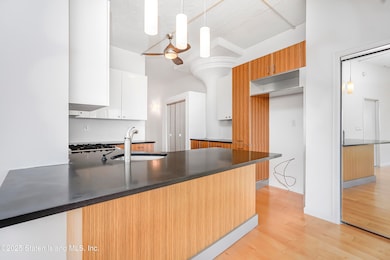 Bay Street Landing unit 5A, Staten Island, NY 10301 - photo 7