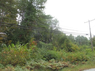 0 Spring St unit 4782493, Newport, NH 03773 - photo 4