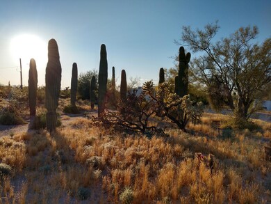 12799 N Osito St, Florence, AZ 85132 - photo 3
