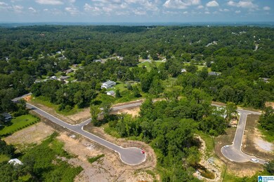 3345 Chandler Way, Hoover, AL 35226 - photo 4