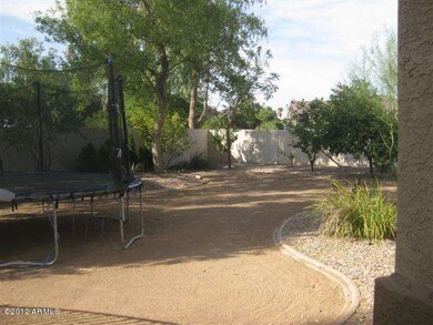 Backyard is huge