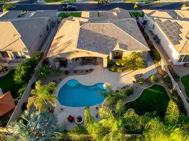 Spacious Back Yard