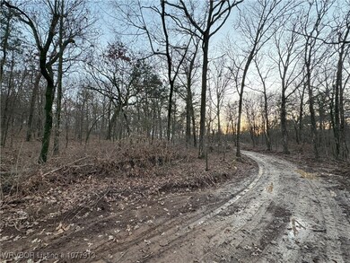 cleared road into property before shale added