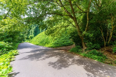 206 Caney Creek Rd, Pigeon Forge, TN 37863 - photo 3