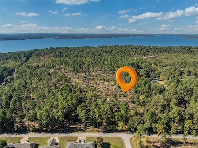 Lot 3 Pintail Dr, Flint, TX 75762 - photo 2