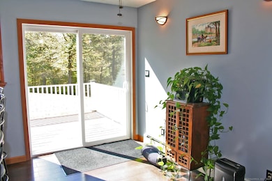 213 Waterhole Rd, East Hampton, CT 06424 - photo 4