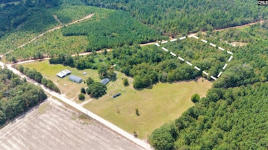 TBD Bachman Dykes Rd, Swansea, SC 29160 - photo 3