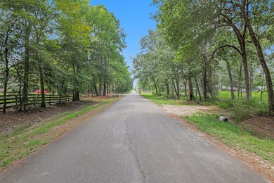 26706 Cherokee Ln, Magnolia, TX 77354 - photo 4