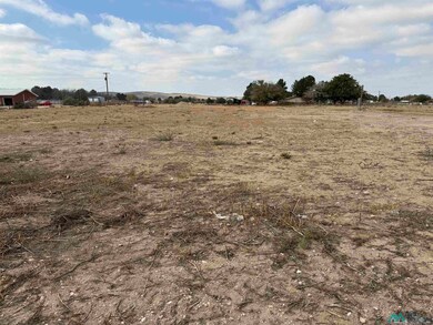 S of 2003 Standpipe Rd, Carlsbad, NM 88220 - photo 4