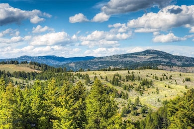 280 High Ridge Rd, Bozeman, MT 59715 - photo 3