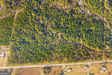 0 Quick Rd unit LOT 10B, Swainsboro, GA 30401 - photo 5