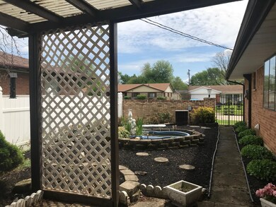 Back yard1